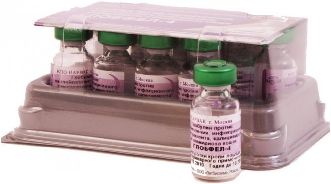 «Глобфел-4» для кошек