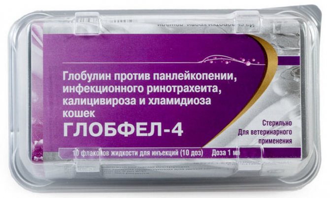«Глобфел-4» для кошки