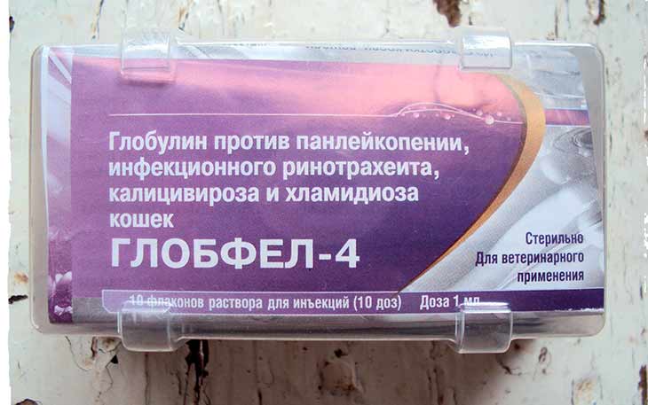 Преимущества и недостатки